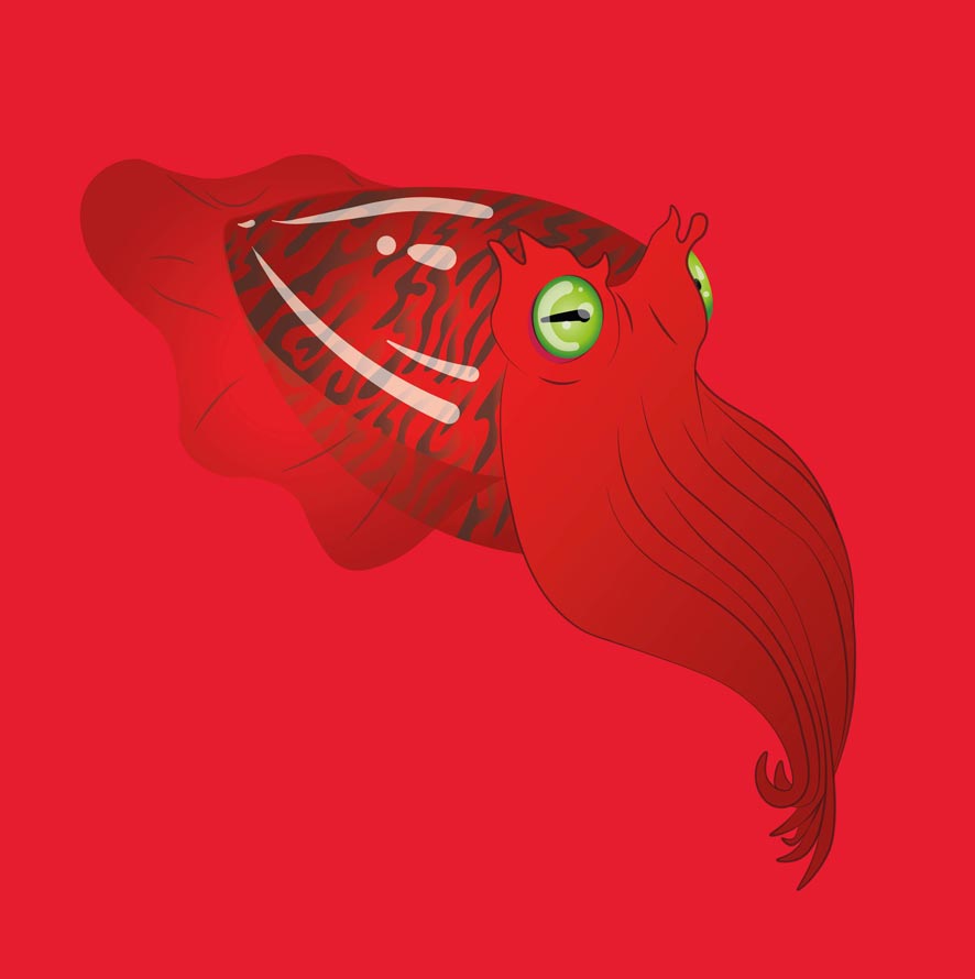 Seppia Rossa