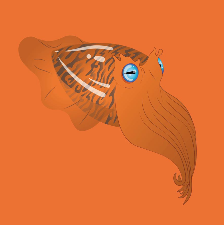 Seppia Arancione