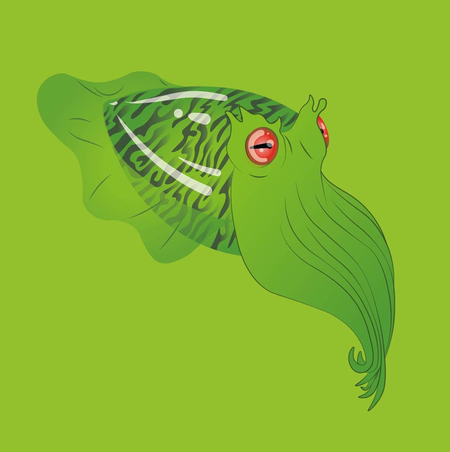 Seppia Verde