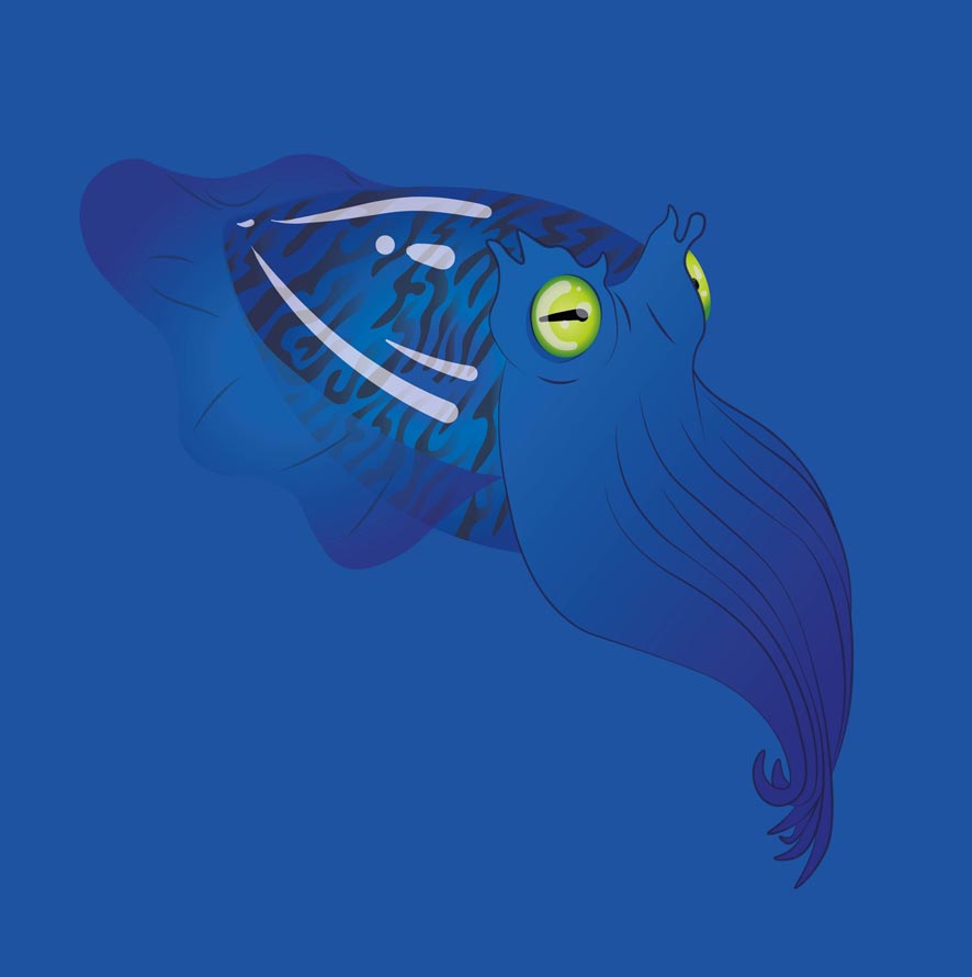 Seppia Blu