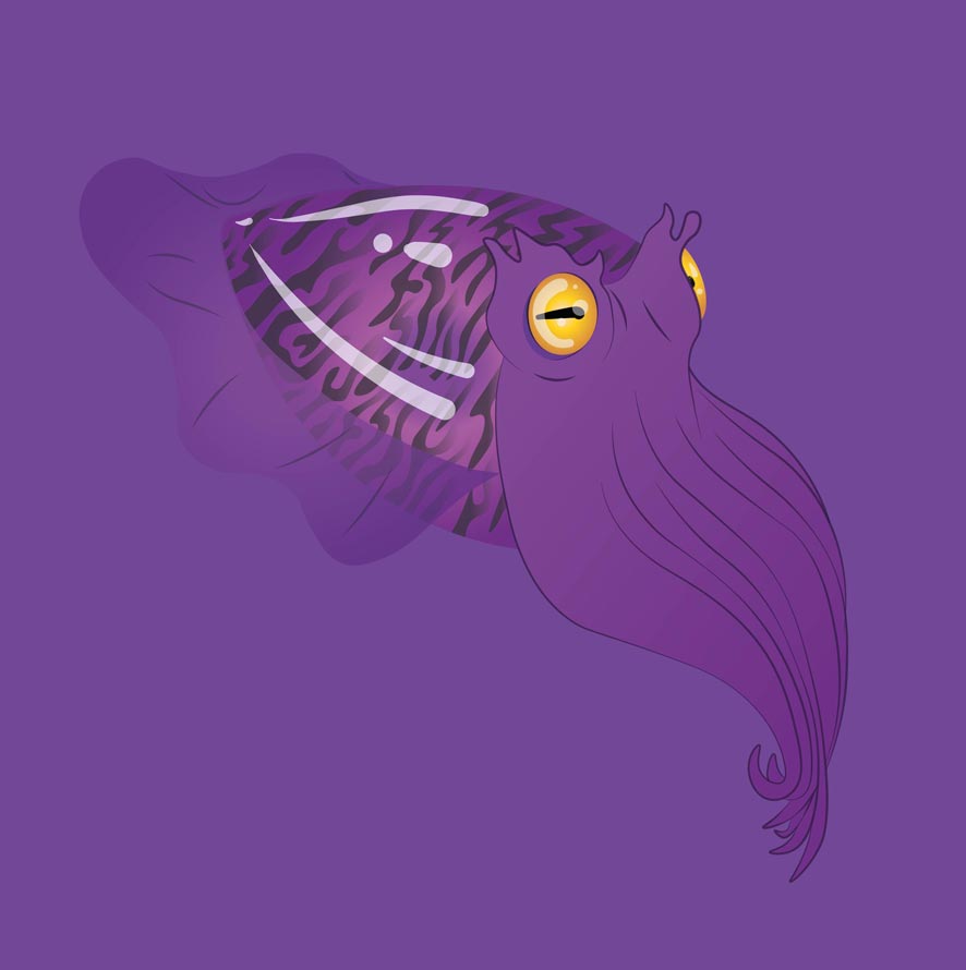 Seppia Viola