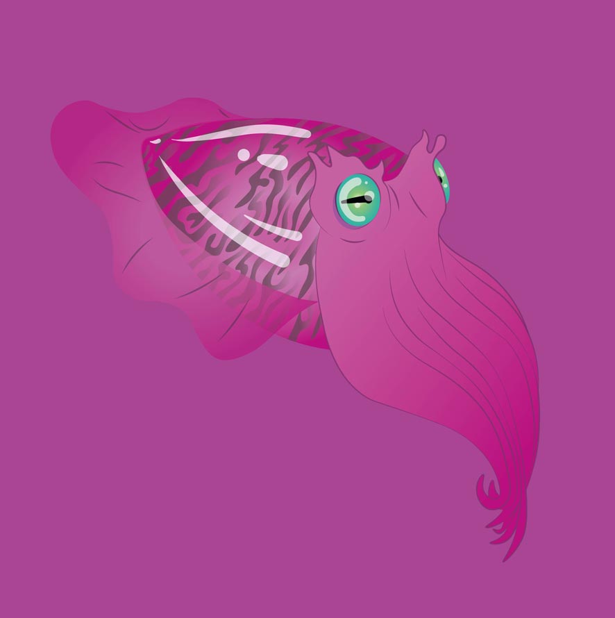 Seppia Rosa
